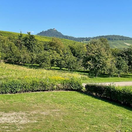 Ferienwohnung Reblandblick Baden-Baden Exteriér fotografie