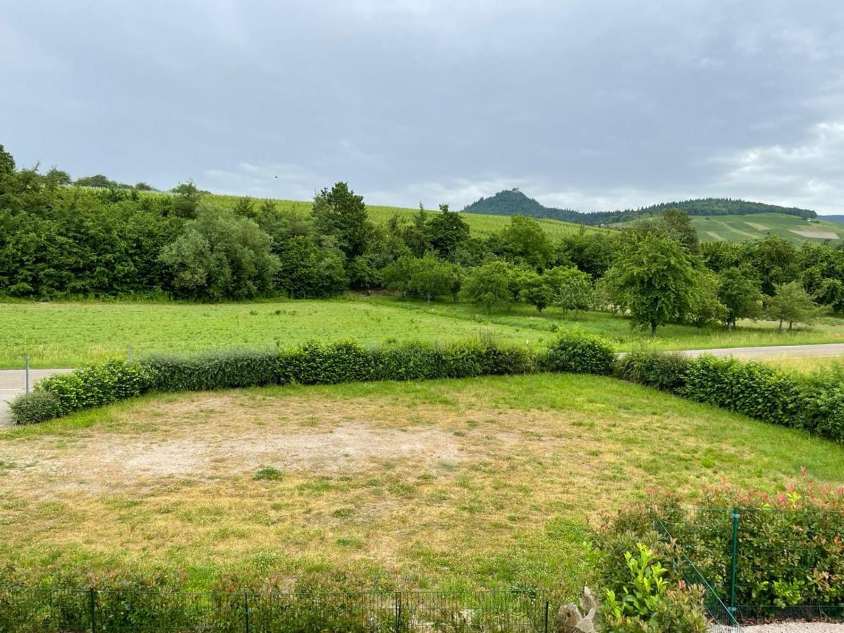 Ferienwohnung Reblandblick Baden-Baden Exteriér fotografie